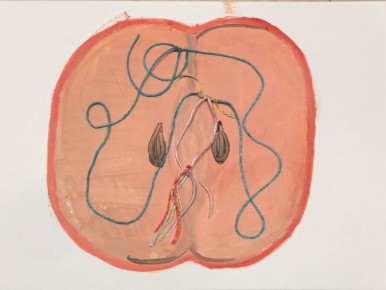 ���-������� ������: ��� ���������� �� ������� ���� � ������� ����������