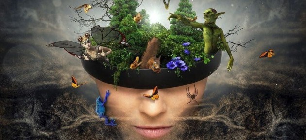 Воображение: Как эта уникальная способность формирует нашу жизнь и высокое творчество