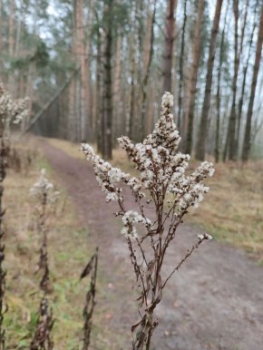 ����� ���������: ��� ���������� ������� �� ���� � ��������� �������