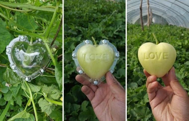 Тайные эмоции: влияние запретов на чувства в детстве