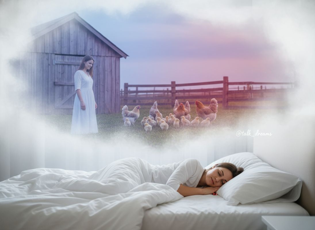 Как курицы с цыплятами меняют представление о деревенской жизни