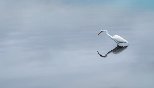 ����� ����� ������� ������: ����� �� �����������?