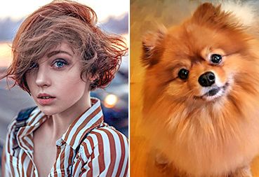 ����, �������� �� ������� ������ ��������