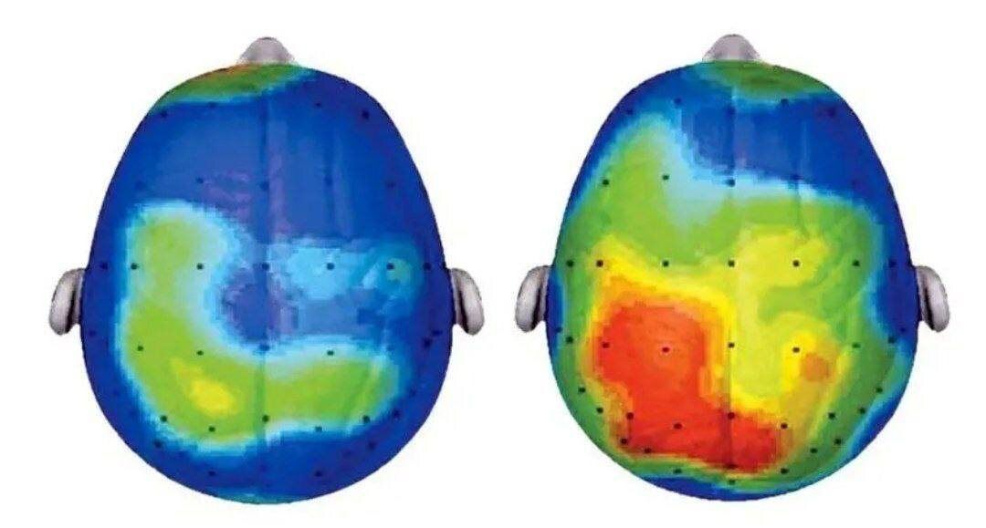 Прогулка как ключ к улучшению когнитивных способностей