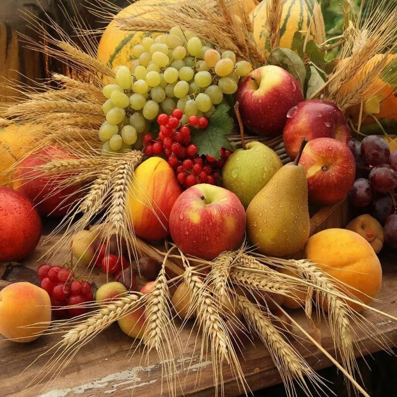 ����� �� ��������: ��� ������� ��� ������ �������