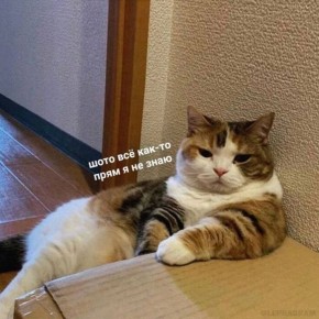 Когда похвала не радует: секреты внутреннего сопротивления