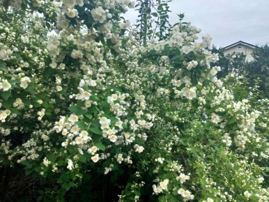 ������ ���� ����� �� ��������� ������ � ������� ���?