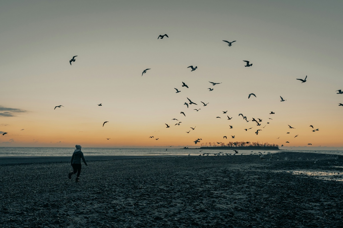 Почему лишние усилия для завоевания любви могут навредить