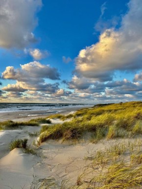 ������������ ��������: ��������� ������� �� ����