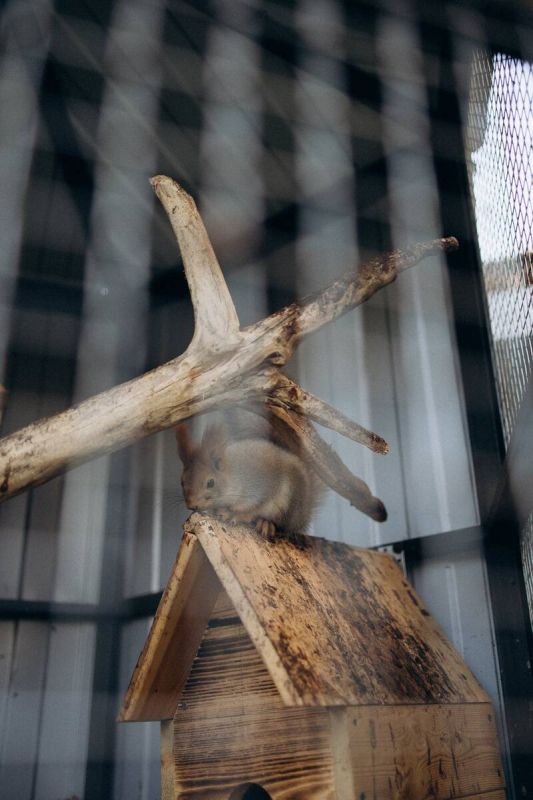 �������� ������ �����: ��������� ������ ��� ������� ��������