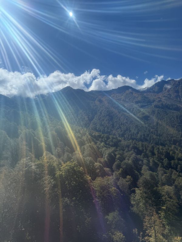 ��� ������������� ������������� ����������� � ����� �������� � �����?