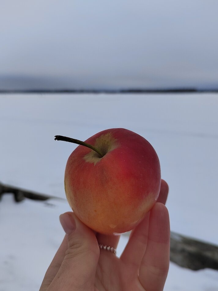 Как утрата формирует нашу жизнь и восприятие мира