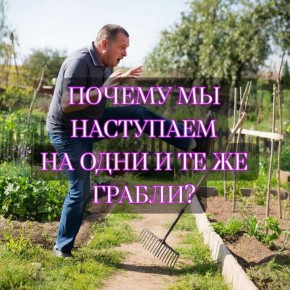 ������ �� ���������� ��������� �� ���� � �� �� ������