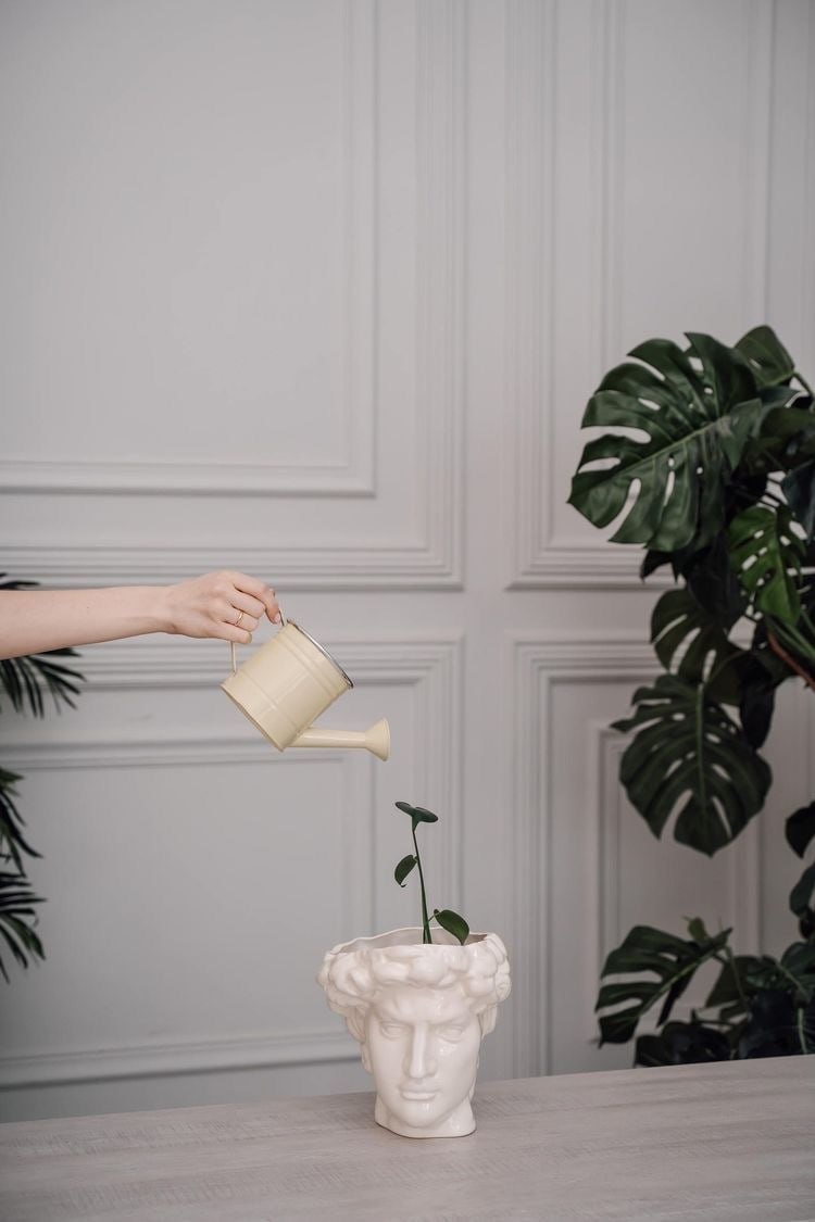 Что делать после завершения работы с психологом?