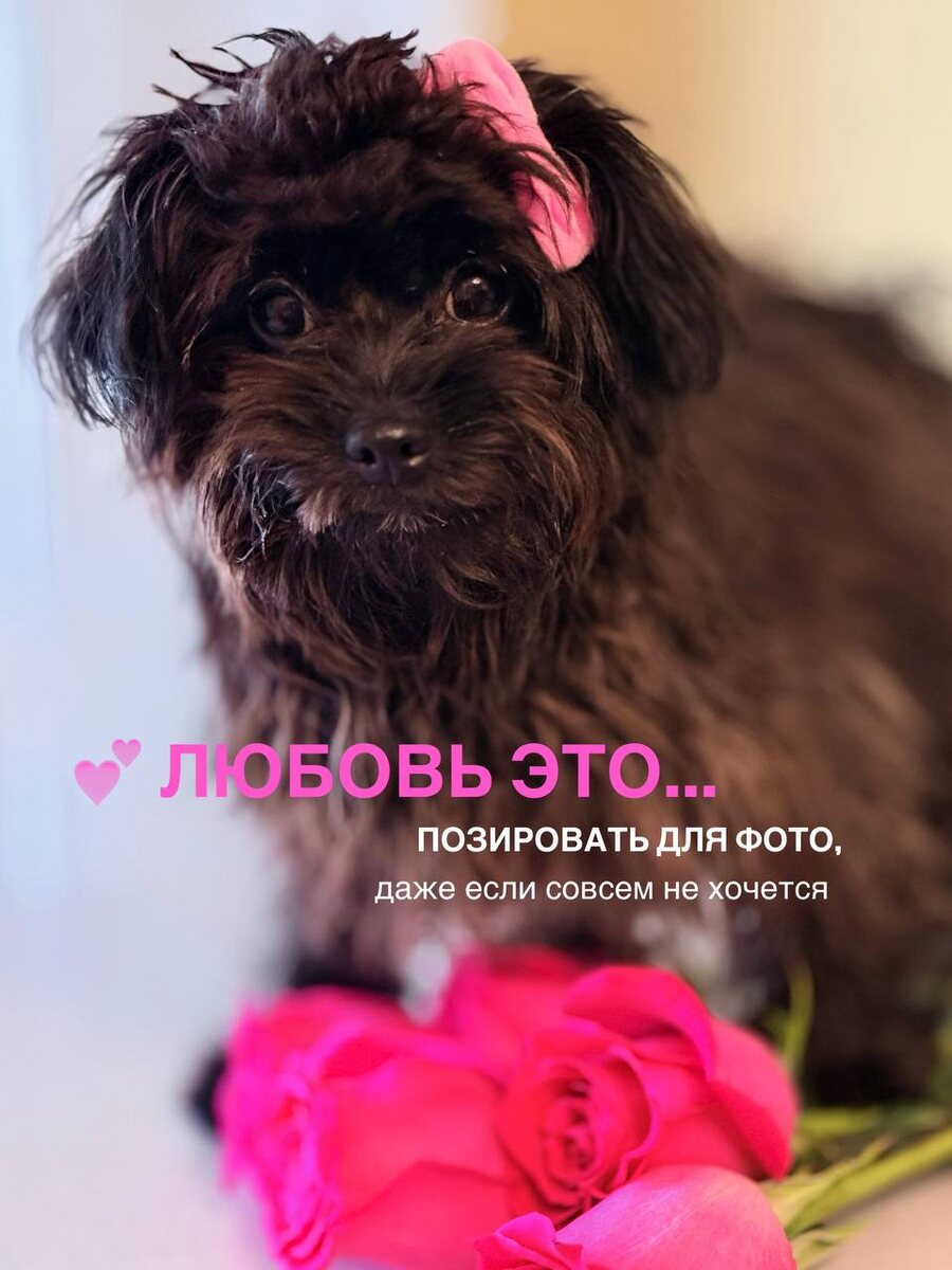 Что такое настоящая любовь?