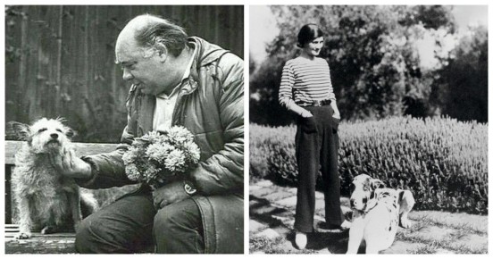 ���������� ��� � �� �������� ��������: 20 ������� � ����� � ��������