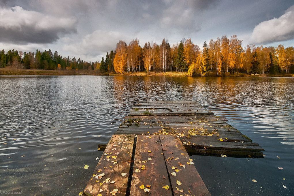 Почему нарциссы похожи друг на друга в своих действиях