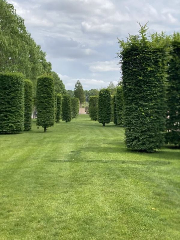 Почему важно вспоминать детство на пути к выздоровлению?