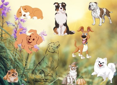 ������ ��� ������� �����: ��� ����� ���������� ���� ������������ ������