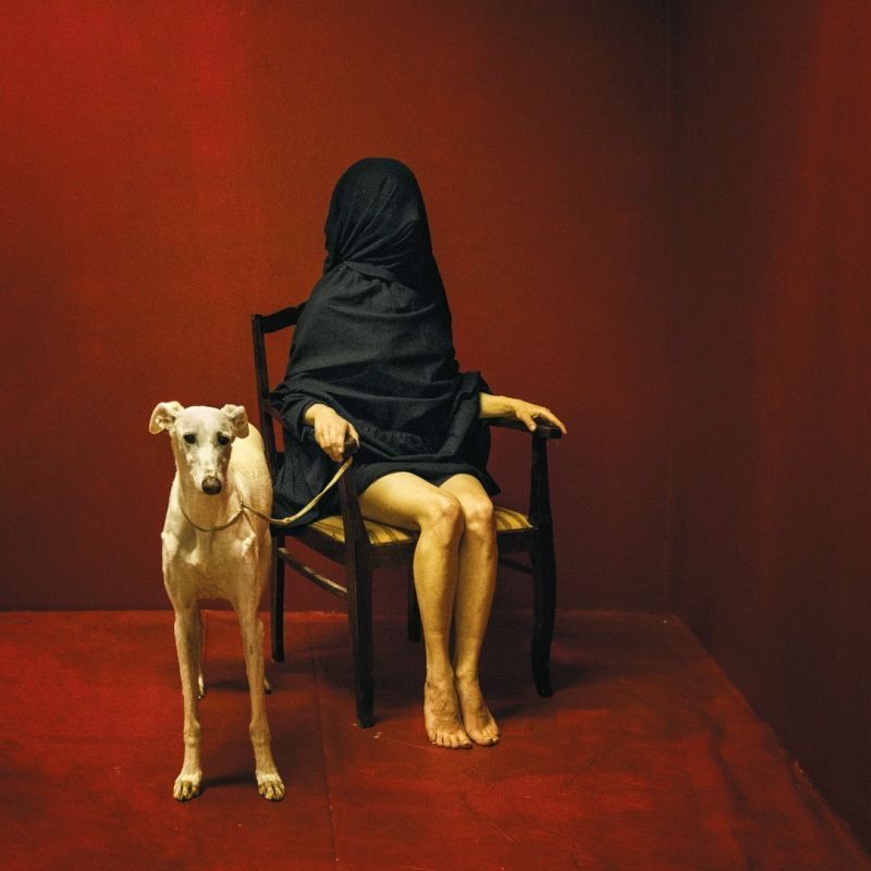 Как нарциссы и эмпаты создают токсичные отношения