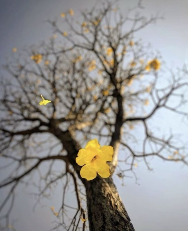 ����� ��������: ��� � ���� ��� ���� � �������