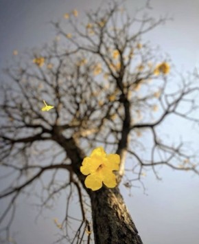 ����� ��������: ��� � ���� ��� ���� � �������