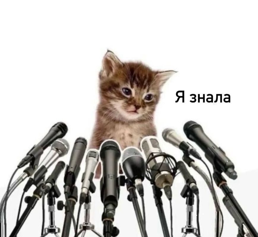 Феномен хинсайта: Когда очевидное становится ясным только задним числом