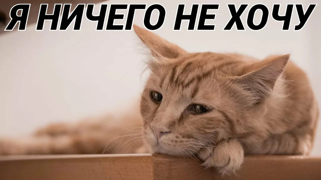 Как вернуться к желаниям и найти свои истинные стремления