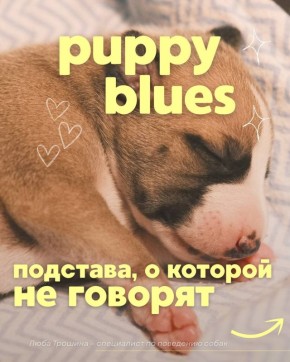Понимание щенковой депрессии: как преодолеть трудности нового питомца
