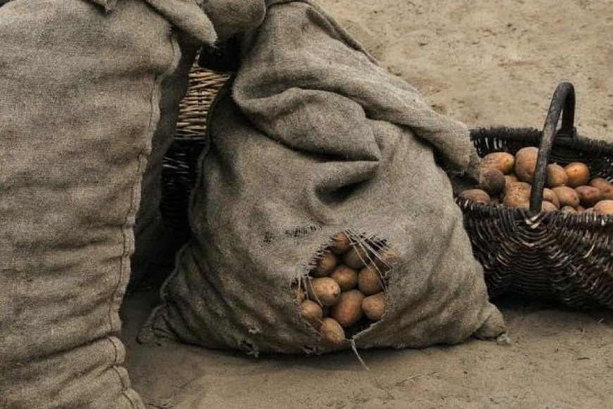 Как критика может навредить вам: советы Елены Блаватской