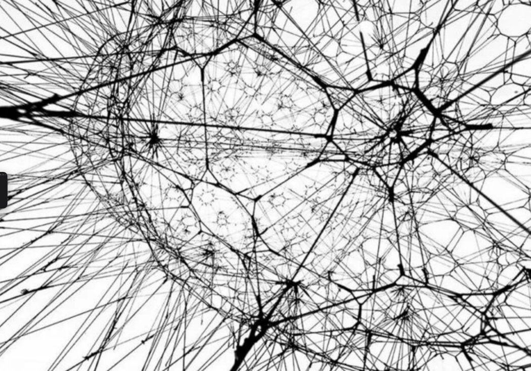 ����������� ������ �� ����������� ����������������: ����������� � ��������