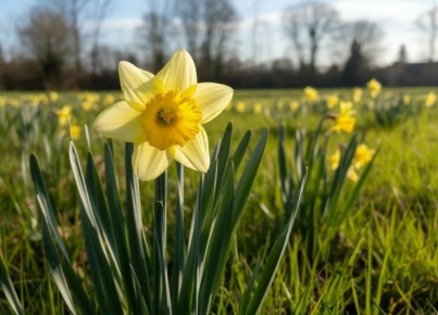 ���������� ��� ������: ��������� ��������