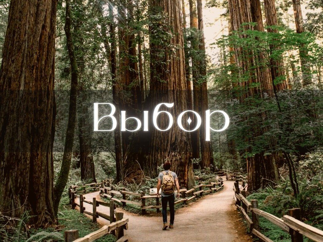 ��������� ������: ��� ���������� ���������� �������