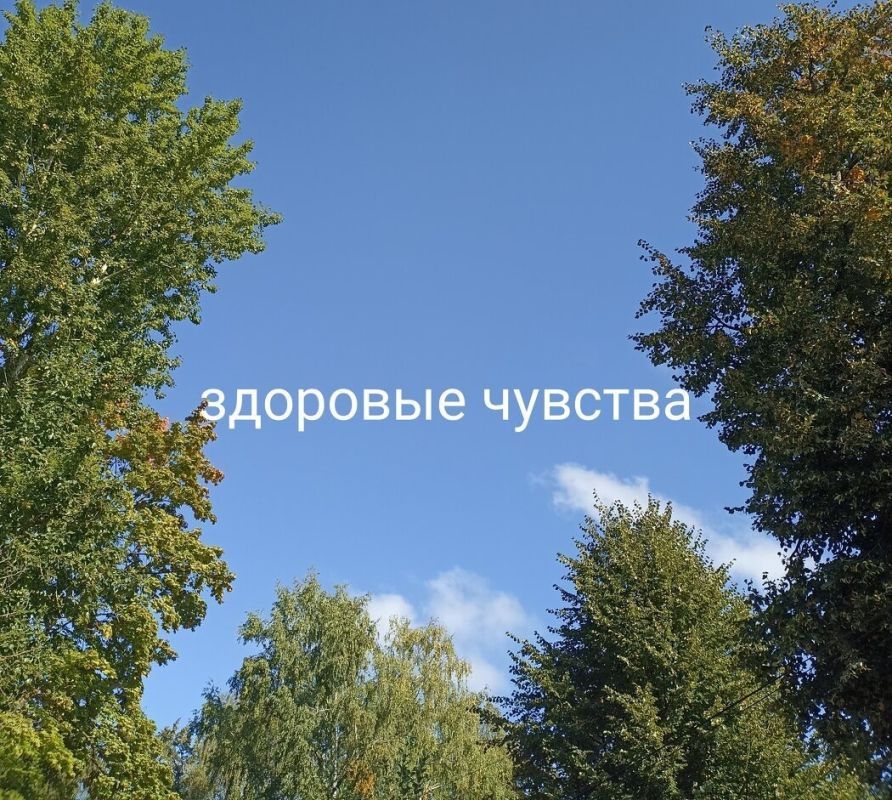 �������� �������