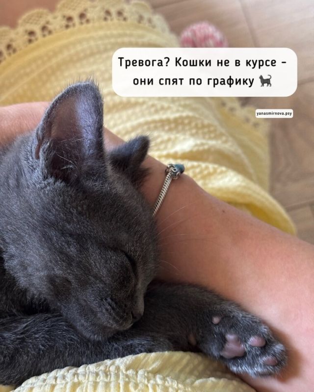 ���������� ��� � �����������: ��� ��� �������