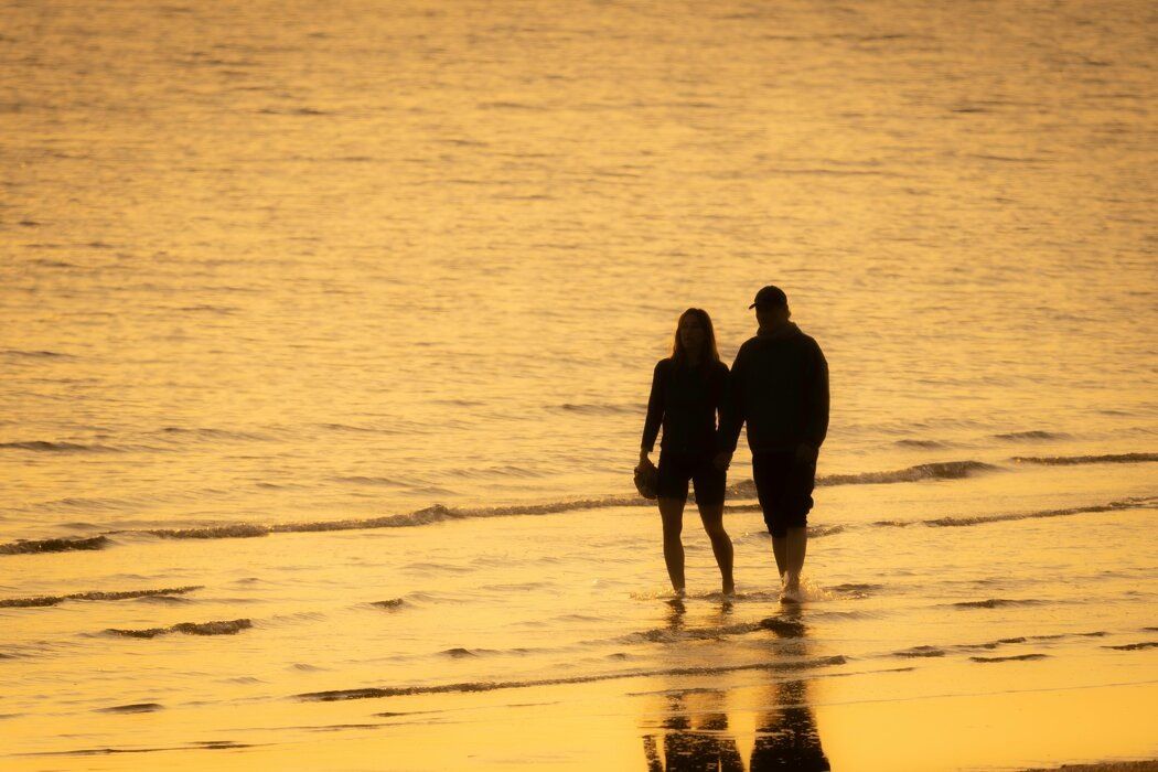 ����� ���������� ���������� � ����������