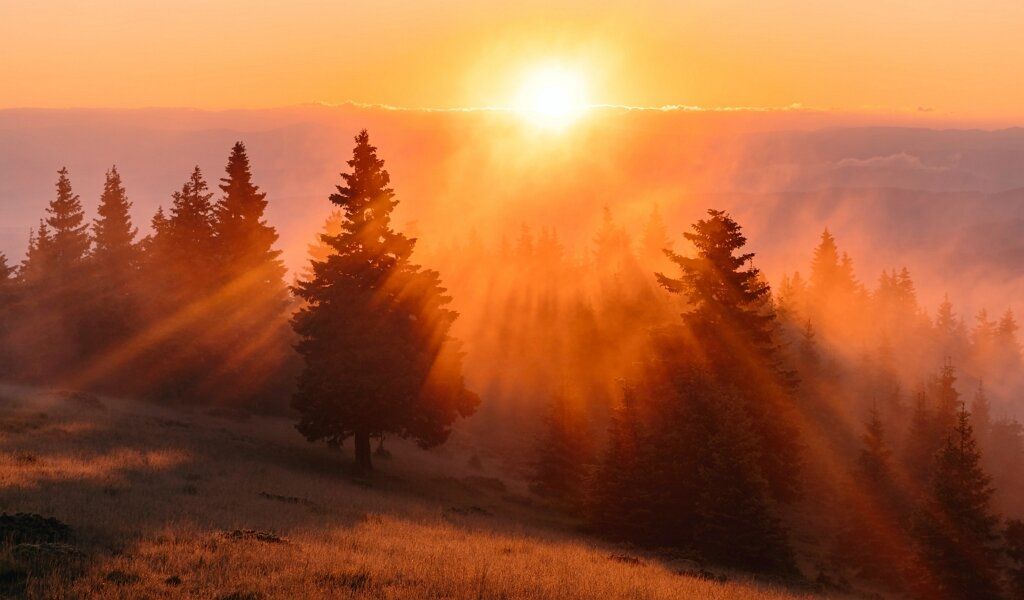 ��� ���������� ����������� ������ � ������ ����� ���������