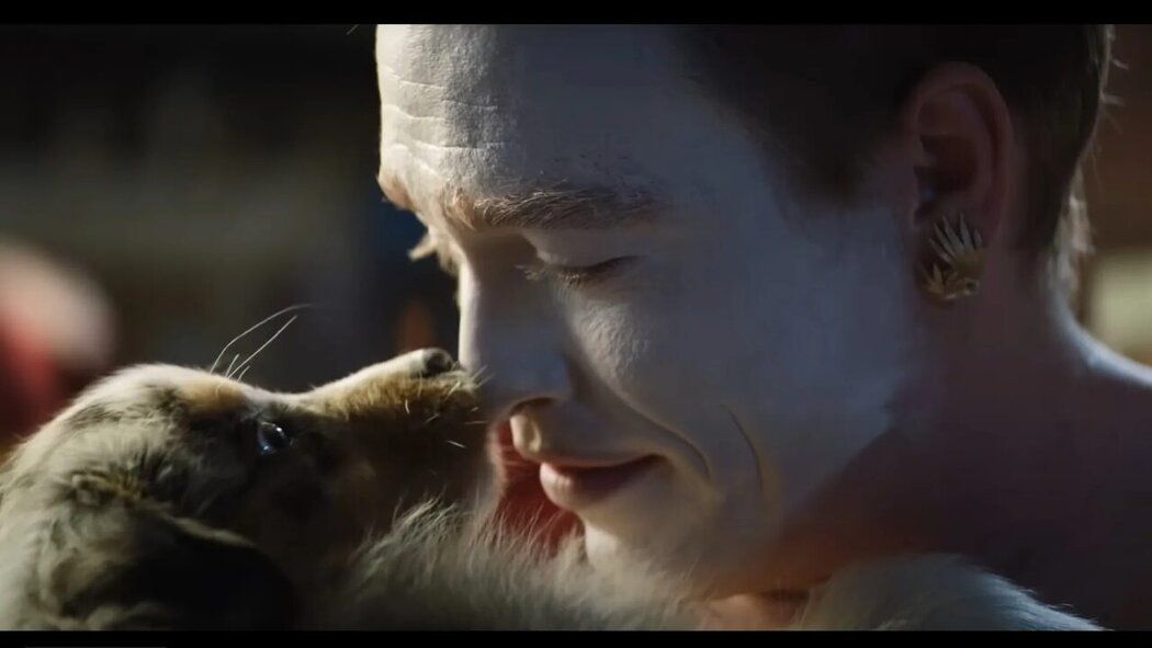 ���������� �� ������: ��������� �������� ����� ������ �����-�������