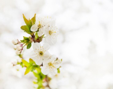 Трудоголизм: риски и пути к свободе от зависимости