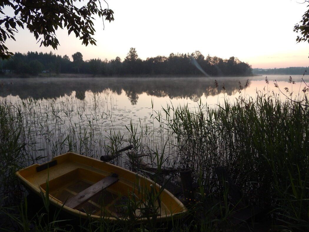 Почему люди остаются в отношениях с абьюзерами?