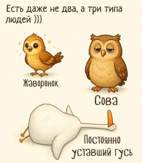 �������� ���������: ��� ���������� � ������������� ��������������