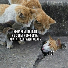 ����� ��� ��������? ��������� ���� ��������