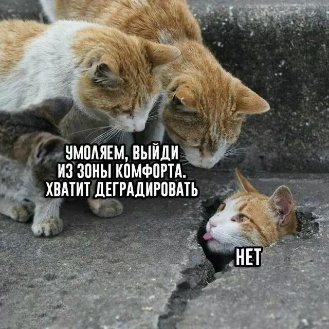 Выйти или остаться? Понимание зоны комфорта