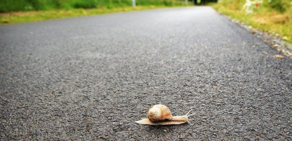 ������ � �������: ��������� ��������, ������� ��������