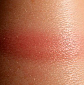 ��� ������ ���������� �� ��������� ����� ����