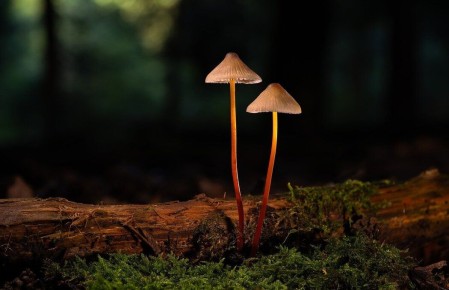 Как достижения меняют наши отношения с близкими