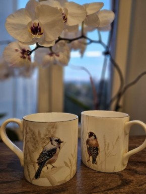 ������ � ������ �����: ���� � ����������