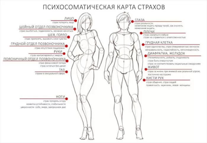 Фобии: увлекательное путешествие по карте наших страхов