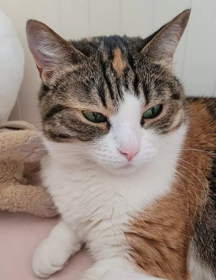 Как выбрать своего психолога: важные сигналы