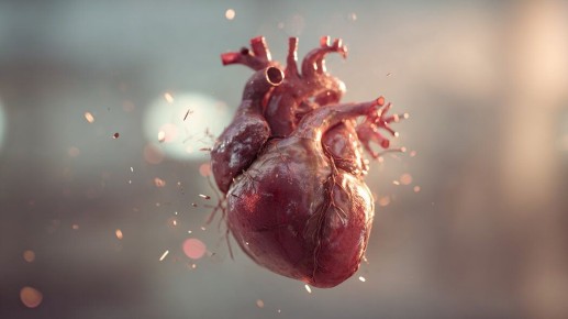 ��� ������� ������ �� ������������ ��������: ������ �������